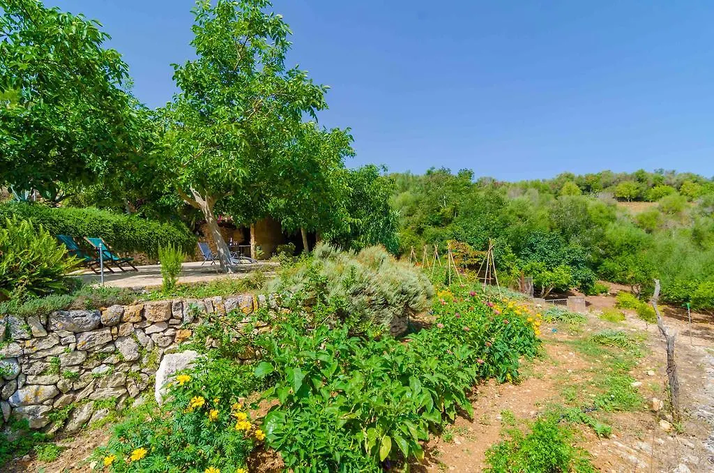 Ses Pedres Villa Manacor