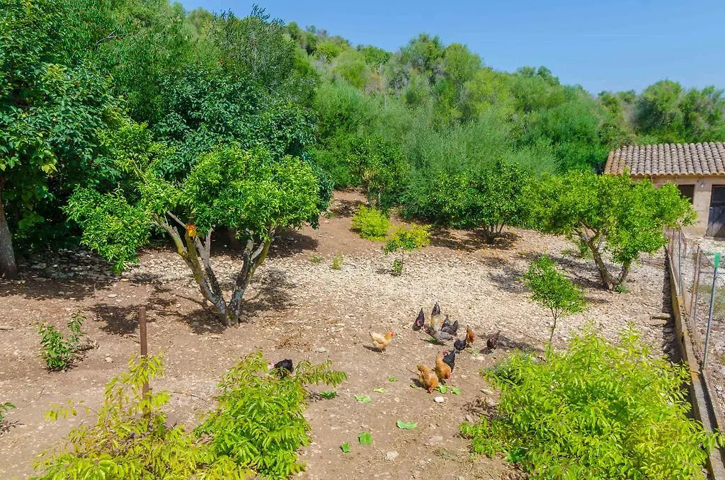 Ses Pedres Villa Manacor   Manacor (Mallorca)
