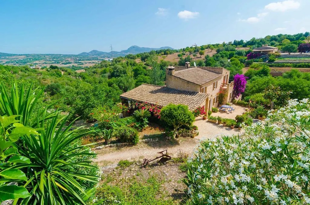 Ses Pedres Villa Manacor
